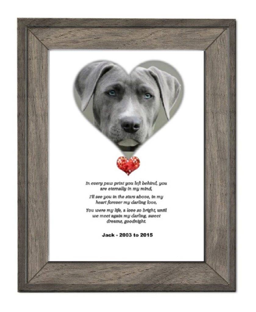 Personalised pet memorial photo poem frame dog cat by time2letgo