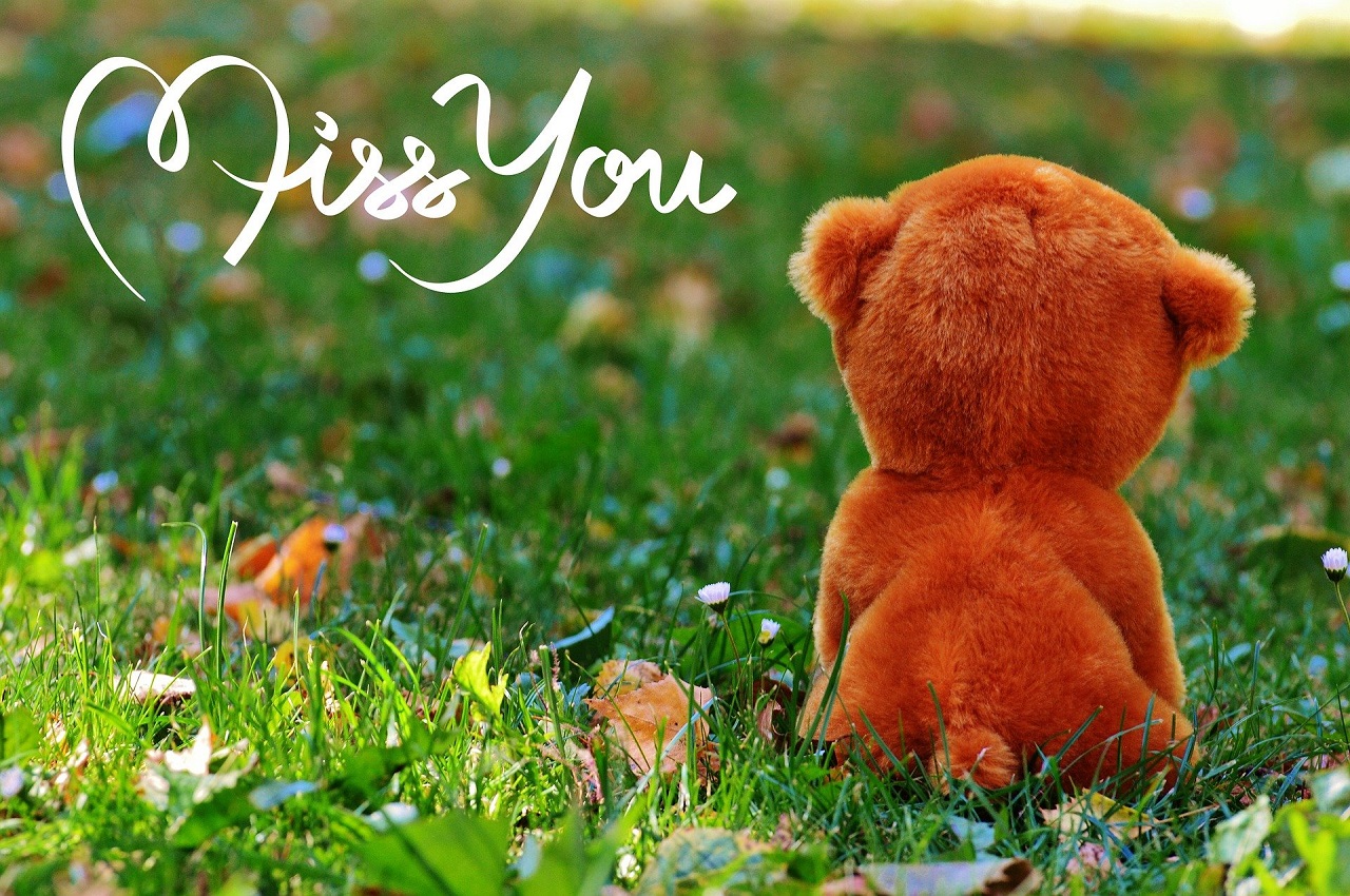 💔 The Heavy Weight of Blame: Coping With Guilt After Pet Loss