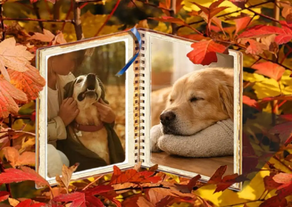 For the Days I Miss You Most