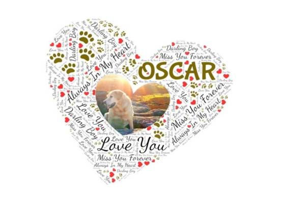 Image of a heart with wordart as an example of a pet memorial keepsake by time2letgo